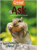 Each themed issue of Ask invites newly independent readers, grades 3-5, to explore the world of science and ideas with topics that really appeal to kids: What makes wind? Where do colors come from? We ...