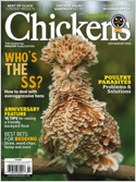 Chickens Magazine Subscriptions