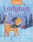 Bring the magic of Ladybug to pre-schoolers and early readers. Each issue offers a mix of enchanting stories at appropriate reading levels, with colorful illustrations that draw children into the text ...