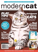 Modern Cat (2 years) Magazine Subscriptions