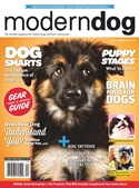 Modern Dog (2 years) Magazine Subscriptions